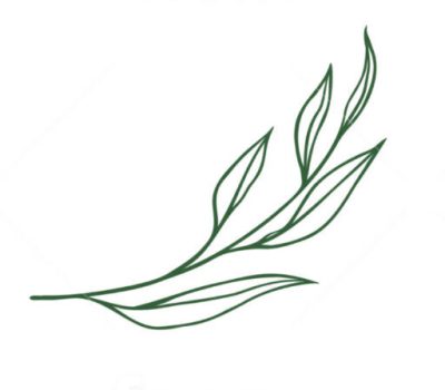 cropped-cropped-favicon-scaled-1.jpg